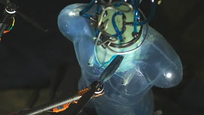 Ce răni ți-ar putea provoca impactul cu o dronă [VIDEO]