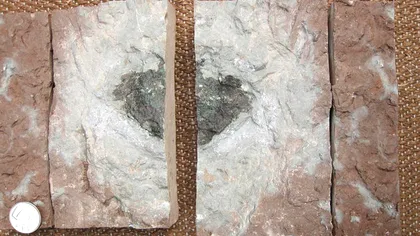 Această rocă extraterestră misterioasă ar putea rezolva misterele formării sistemului solar