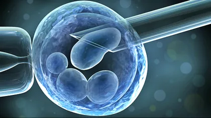 Primul om conceput ”în borcan” împlinește 38 de ani