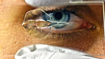 Acesta este primul animal creat artificial, cu ajutorul printării 3D și ingineriei genetice