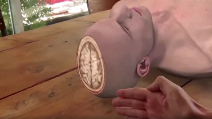 Project Esper: cum va transforma realitatea augmentată viitorul studenților la medicină