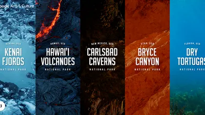 La 360 de grade: Google vă plimbă prin parcurile naționale din SUA