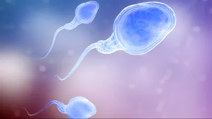 Cuplurile gay vor putea face copii fără ”ajutorul” unei femei