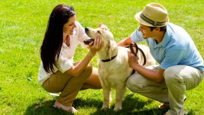 Câinii și oamenii au o serie de gene sociale similare