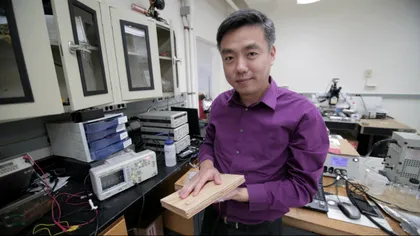 Podelele din lemn ar putea fi următoarea sursă de energie regenerabilă