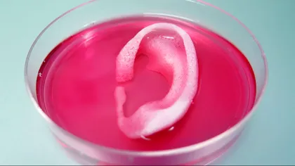 Prima bio-imprimantă 3D din România va printa organe și va salva vieți