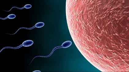 Pilulele contraceptive pentru bărbați ar putea fi disponibile în viitorul apropiat