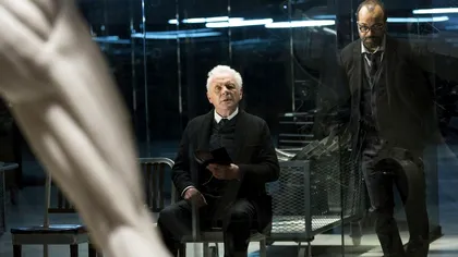 Când vei putea urmări 