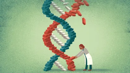 Bolile genetice ar putea fi vindecate printr-o metodă inedită