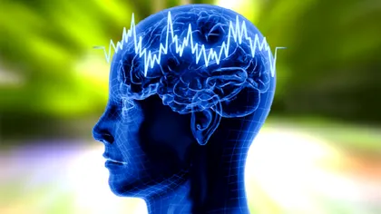 Creierul nostru are propria amprentă, modelată de experiențele de viață