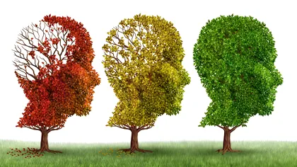 Noi medicamente combat boala Alzheimer cu succes