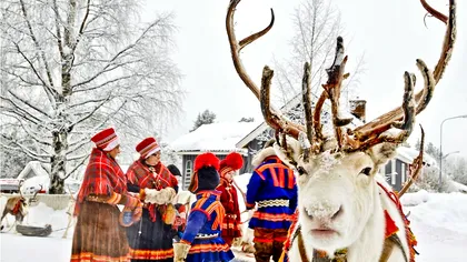 De ce renii din Scandinavia sunt radioactivi