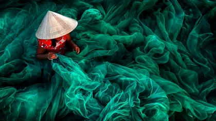 Această colecție încorporează cele mai reușite fotografii ale anului 2016