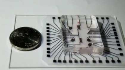 Laboratorul de mărimea unui cip poate salva vieți umane