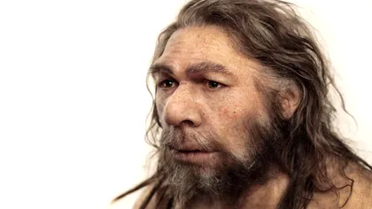 Genele de Neanderthal sunt încă prezente în ADN-ul uman