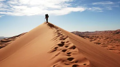 Deșertul Sahara era bogat în vegetație înainte ca oamenii să migreze în zonă