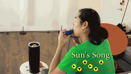 Această casă inteligentă poate fi controlată doar prin intermediul unei ocarine