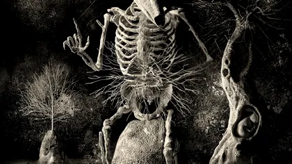 O colecție impresionantă de imagini portretizează importanța studiilor clinice