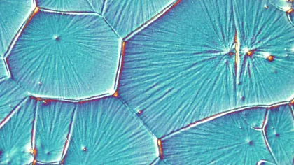 Cerneala fotovoltaică ar permite o producție mai facilă a panourilor solare