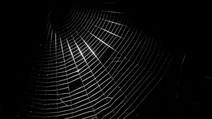 Dark Web și-ar putea găsi sfârșitul în curând