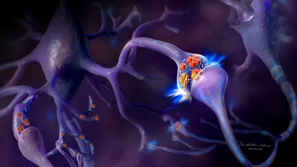 Dispozitivele purtabile ar putea detecta primele semne ale bolilor mentale