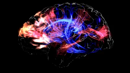 Conform unei noi ipoteze, mintea există separat de creier