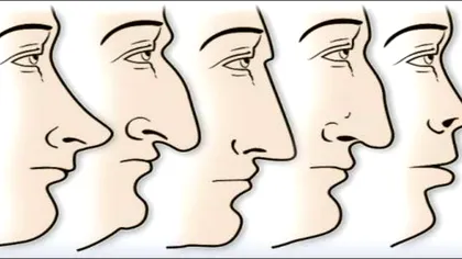 Clima ar fi putut influența evoluția formei nasului uman