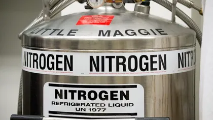 Crioconservarea organelor devine mai ușor de imaginat cu ajutorul acestei descoperiri