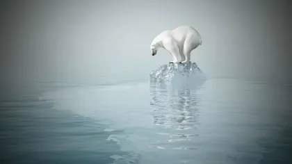 Oceanele se încălzesc mult mai repede decât ne așteptam