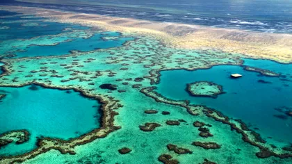 Ce sunt norii artificiali și cum ar putea salva Marea Barieră de Corali de la dispariție