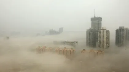 Aerul din casa ta va fi mai curat mulțumită acestor ferestre ingenioase