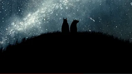 O animație realizată de un român va fi difuzată la Festivalul Internațional de Film de la Cannes