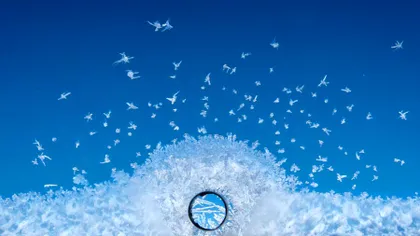 Ce rol au găurile mici din ferestrele avionului