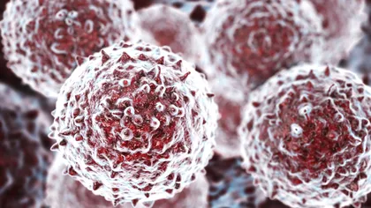 Transplantul de celule stem reprogramate devine o realitate