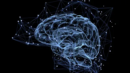 Analiza creierului îți poate spune cât mai ai de trăit