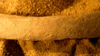 Oamenii medievali mutilau cadavrele pentru a preveni apocalipsa zombi