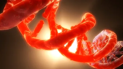 O nouă metodă de editare genetică oprește dezvoltarea cancerului la șoareci