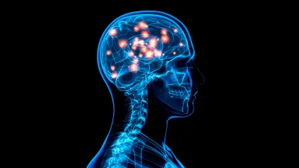 Cercetătorii identifică genele care stabilesc ce coeficient de inteligență ai