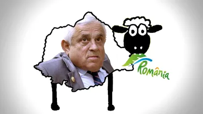 Petre Daea și brandul de țară: Filosofia oii naște glume (cele mai bune reacții ale internetului)