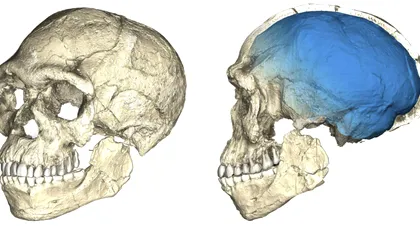 Când au apărut primii Homo sapiens: Arheologii descoperă rămășițele celui mai vechi exemplar