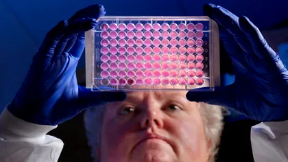 Acest antibiotic dispune de trucuri inteligente și poate elimina cele mai letale bacterii