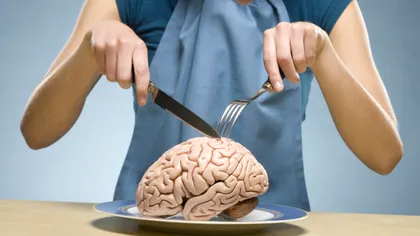 De ce oamenii au creierul atât de mare și complex