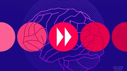 Creierul nostru poate prezice evenimentele viitoare cu o foarte mare rapiditate