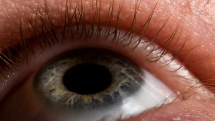 Cel mai avansat iris artificial se comportă asemenea unui iris uman