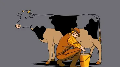 Câți adulți cred că laptele cu ciocolată provine de la vacile maro