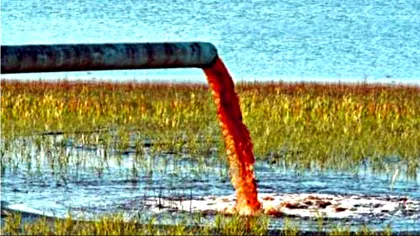 Ingredientul-cheie din pâine ne-ar putea scăpa de poluarea cu metale grele