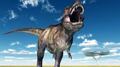 Știința contrazice Jurassic Park și îți arată că T-Rex era un dinozaur greoi și leneș