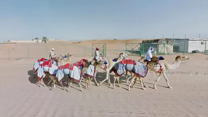 Femeia aceasta a văzut mai mult din lume decât tine fără să iasă din casă