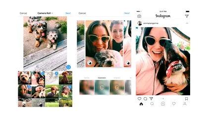 Toată lumea pune aceleași poze banale pe Instagram