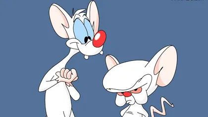 Știința arată că ne asemănăm cu șobolanii la un capitol important